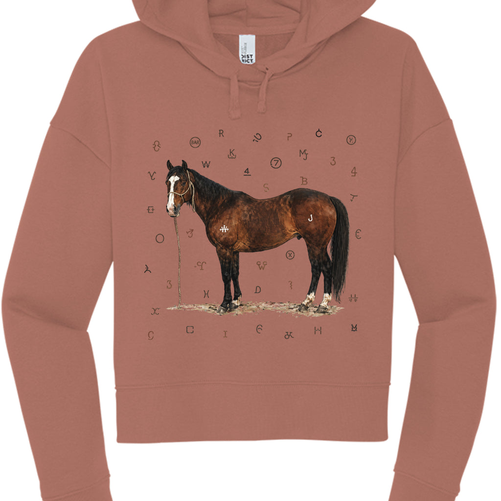 Desert Rose - DT6101 - FRONT