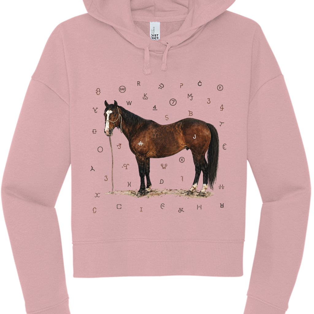 Wisteria - DT6101 - FRONT