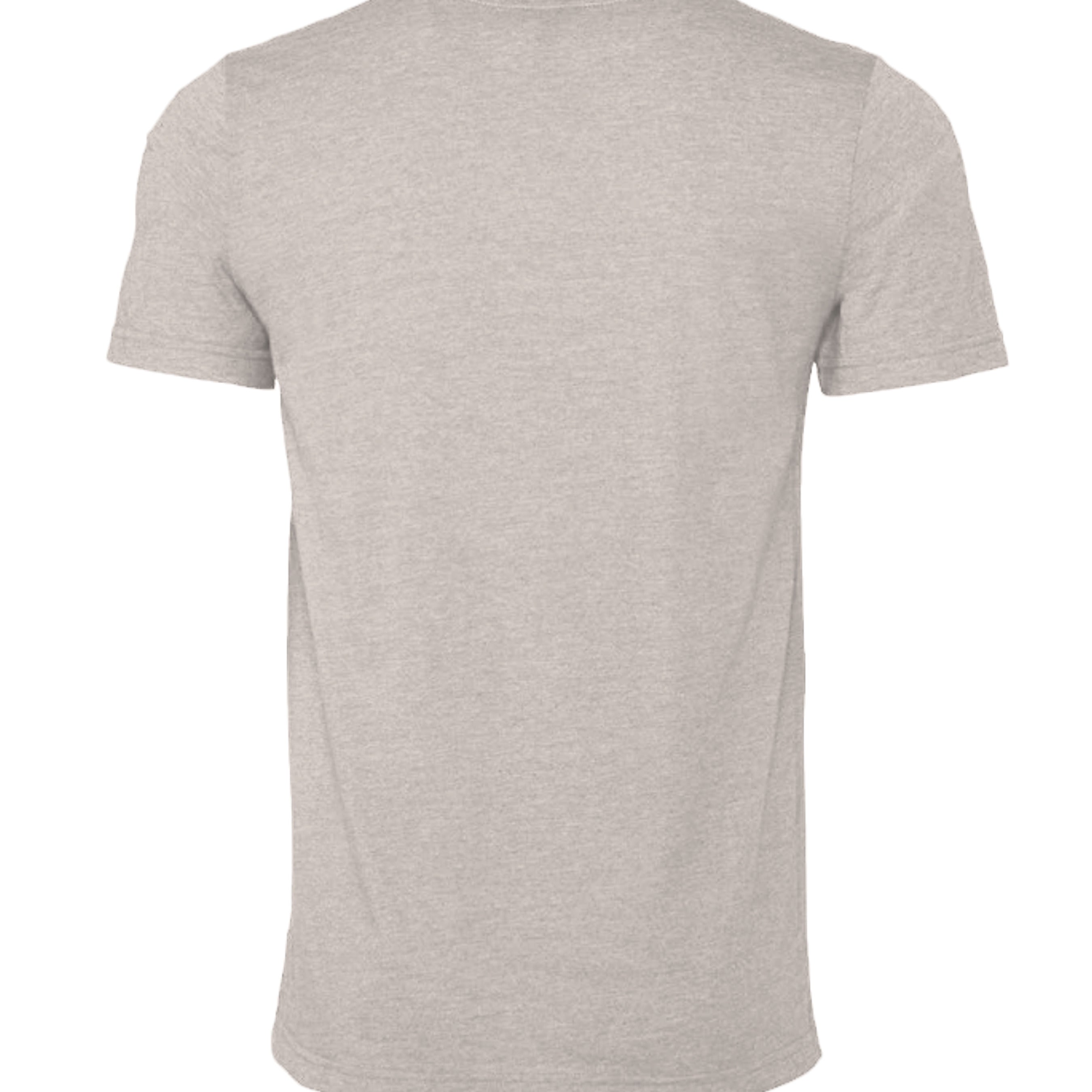 Heather Cool Grey - 3001CVC - BACK