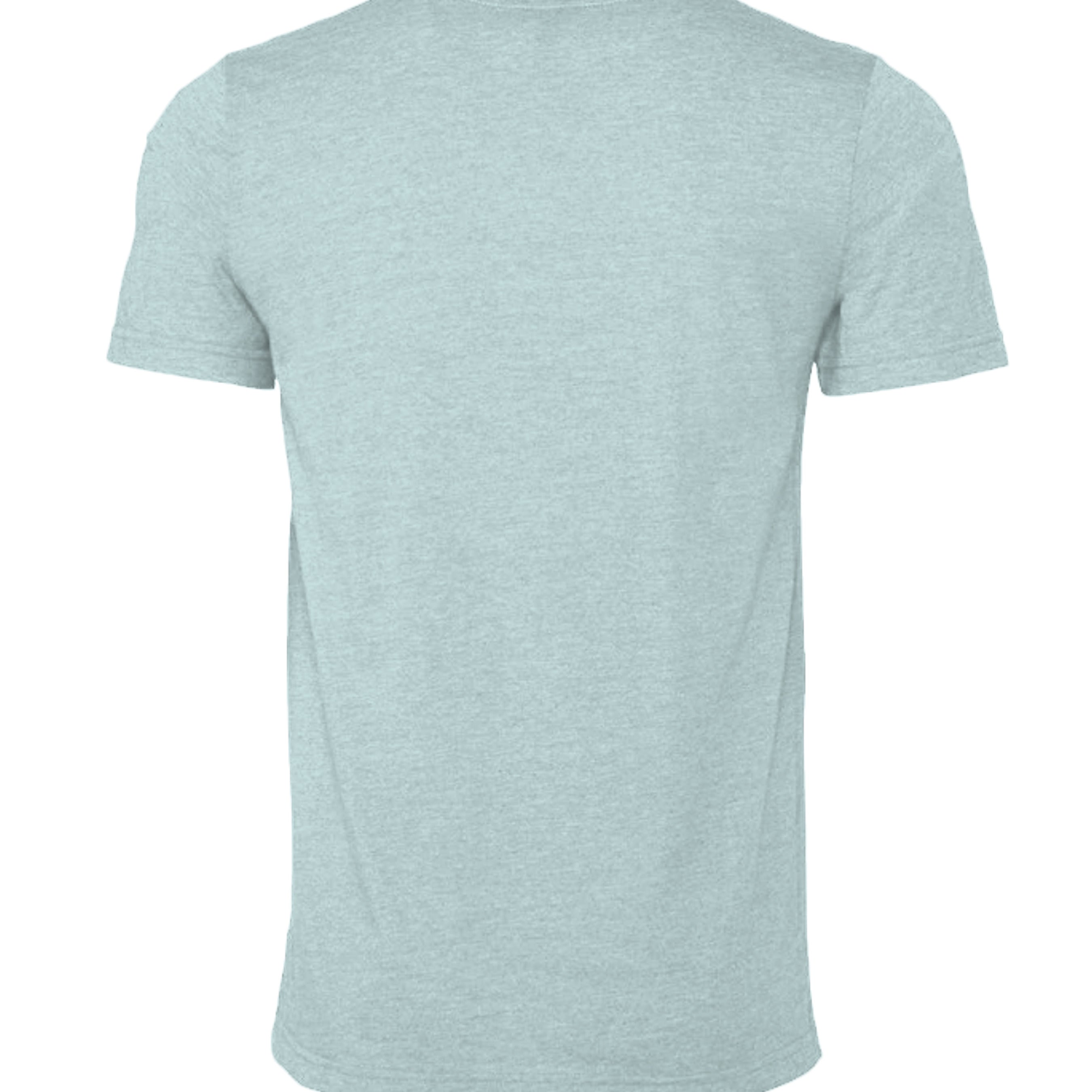 Heather Prism Dusty Blue - 3001CVC - BACK